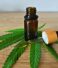 Unlocking the Potential of CBD Oil: Exploring Its Uses and Benefits